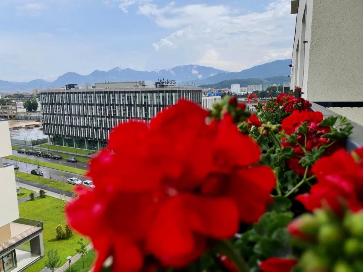 Executive Apartment Avantgarden Coresi Braşov Buitenkant foto