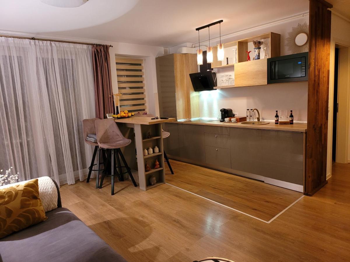 Executive Apartment Avantgarden Coresi Braşov Buitenkant foto